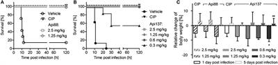 In vivo Efficacy and Pharmacokinetics of Optimized Apidaecin Analogs